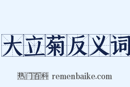 大立菊反义词是什么意思的图片
